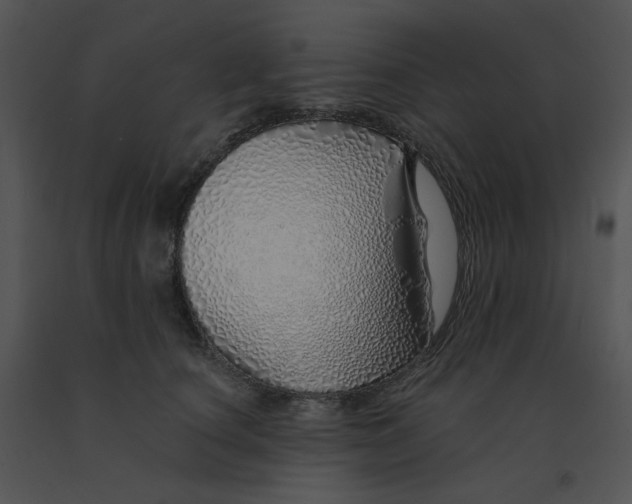 X0000091370660200708311526