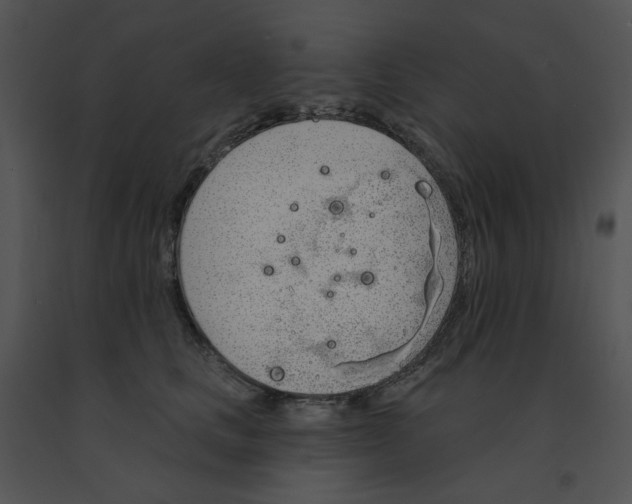 X0000091370661200708311526