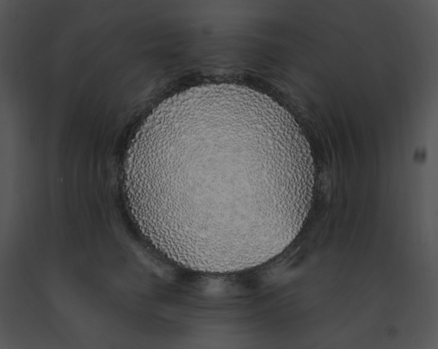 X0000091370662200708311526