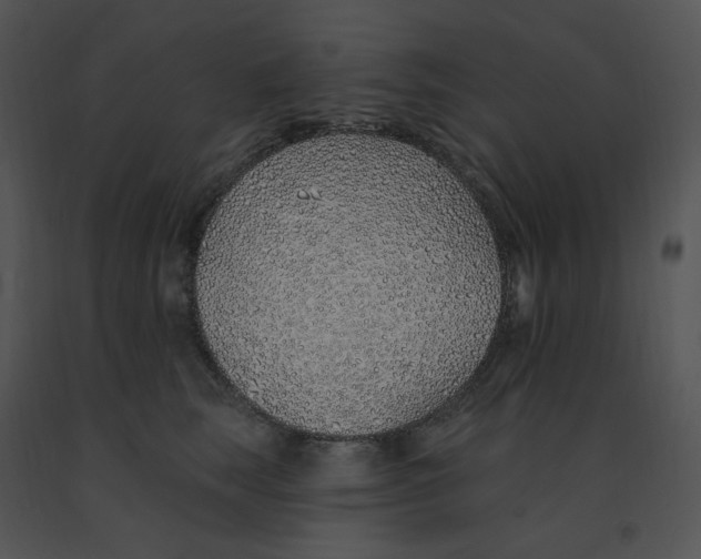 X0000091370663200708311526