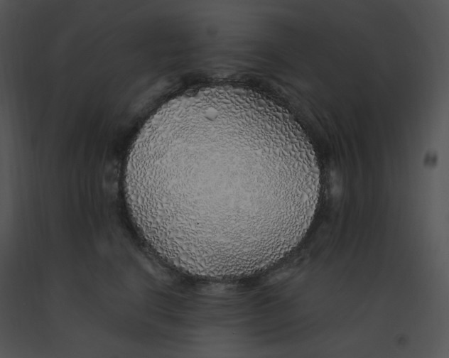 X0000091370664200708311526