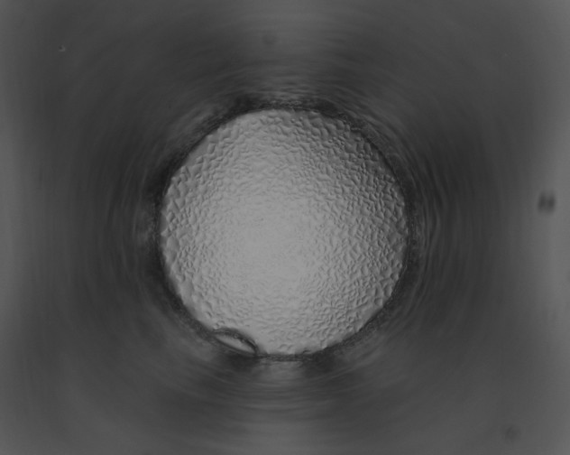 X0000091370665200708311526