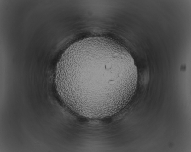 X0000091370666200708311526