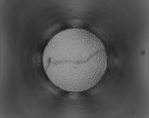 X0000091370667200708311526