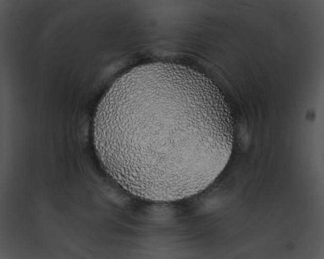 X0000091370668200708311526