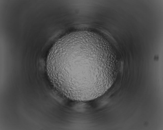 X0000091370669200708311526