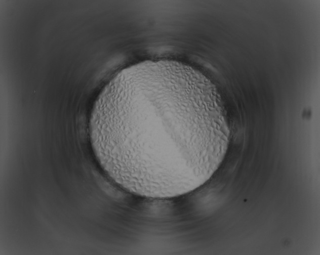 X0000091370670200708311526