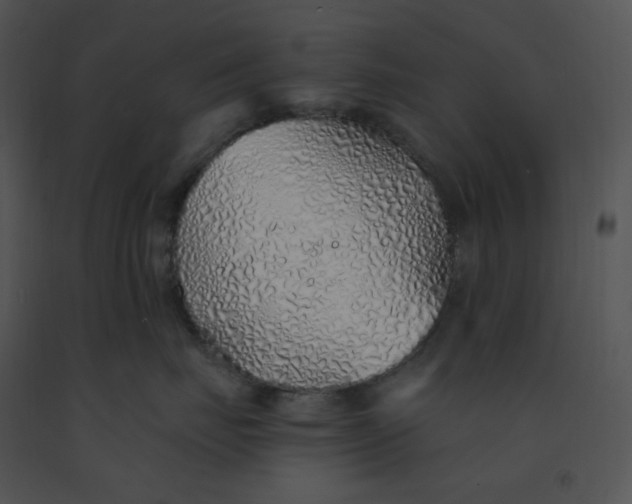 X0000091370671200708311526