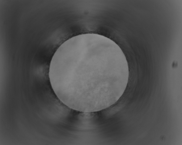 X0000091370672200708311526