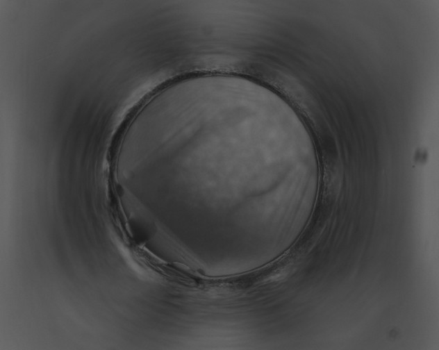 X0000091370674200708311526