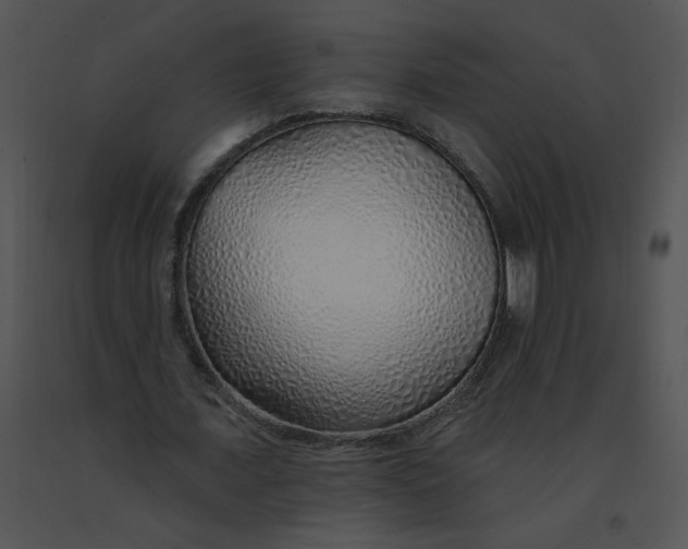 X0000091370675200708311526