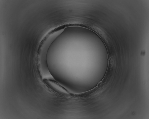 X0000091370676200708311526