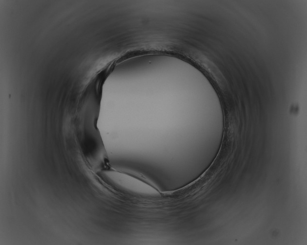 X0000091370677200708311526