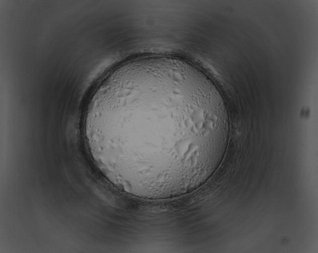 X0000091370679200708311526