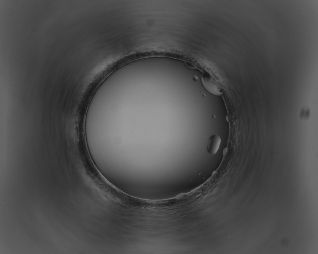 X0000091370680200708311526