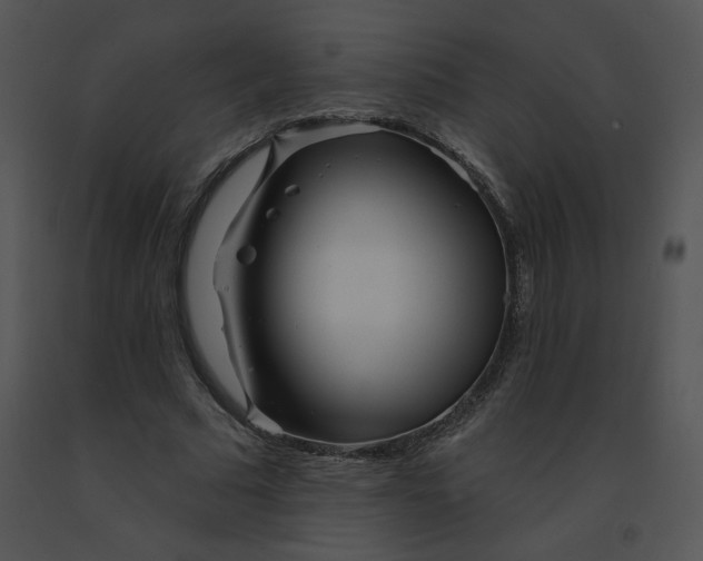 X0000091370681200708311526