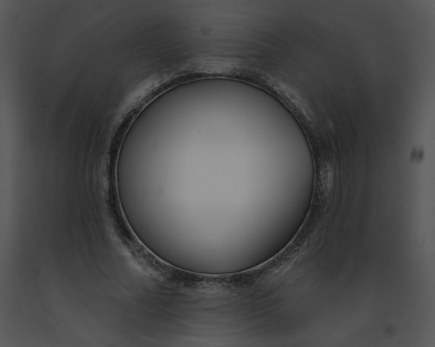 X0000091370682200708311526