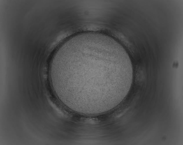 X0000091370683200708311526