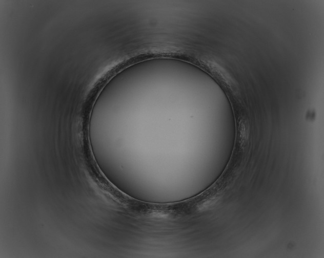 X0000091370684200708311526