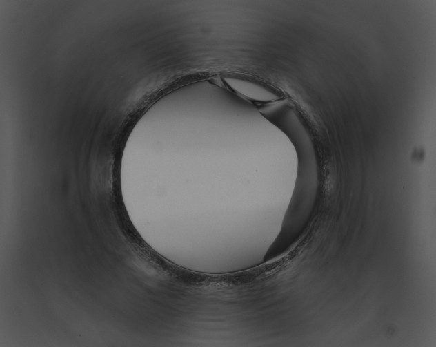 X0000091370685200708311526