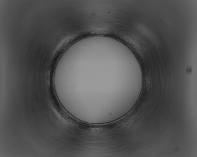 X0000091370686200708311526