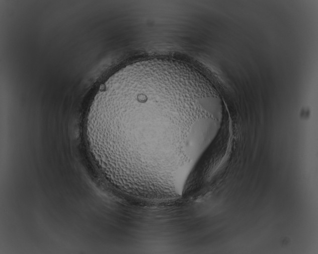 X0000091370687200708311526