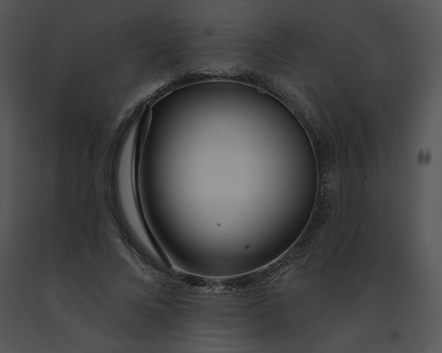 X0000091370688200708311526