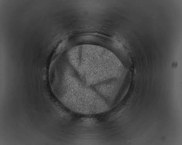 X0000091370689200708311526