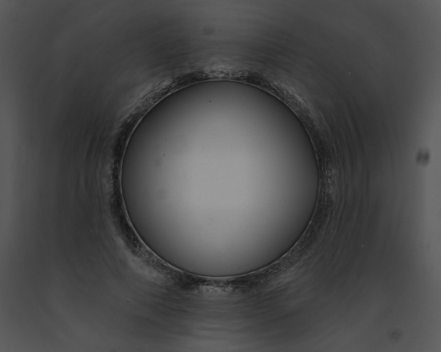 X0000091370690200708311526