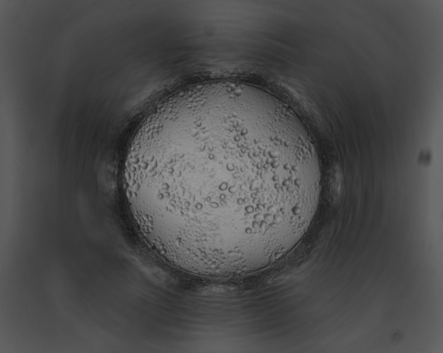 X0000091370691200708311526