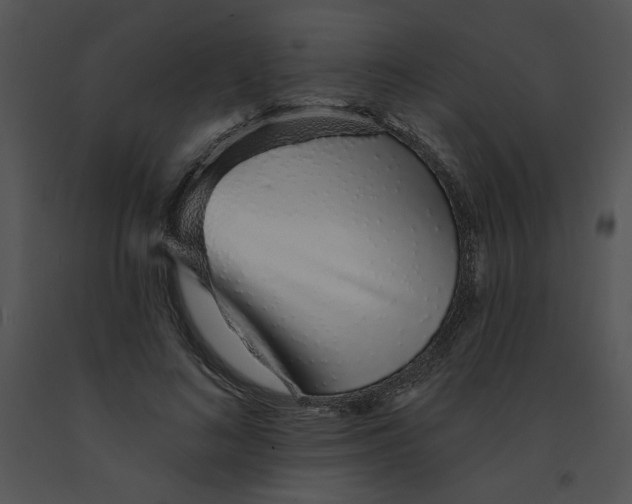 X0000091370692200708311526