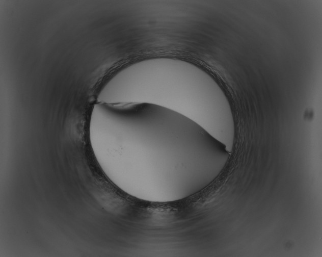 X0000091370693200708311526