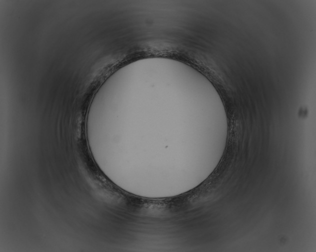 X0000091370694200708311526