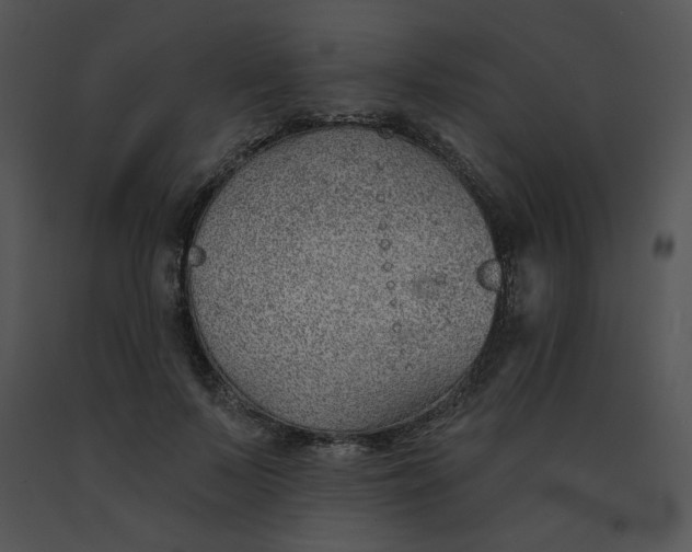 X0000091370695200708311526