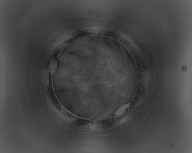 X0000091370696200708311526