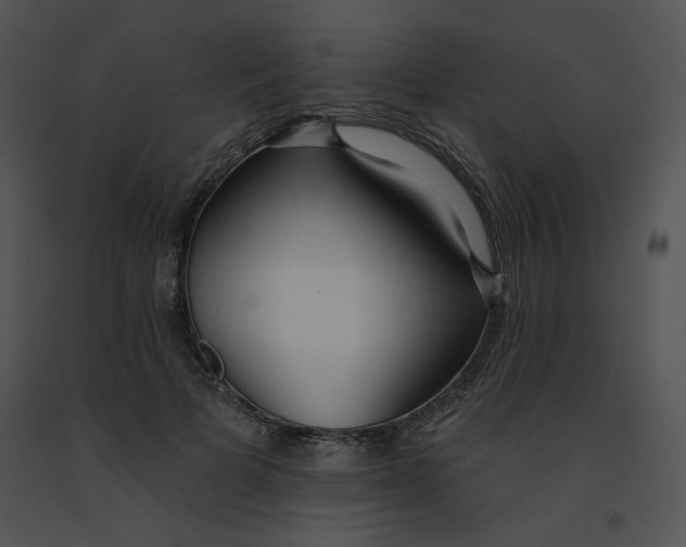 X0000091370697200708311526