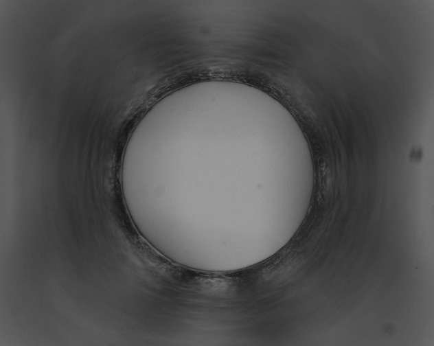 X0000091370698200708311526