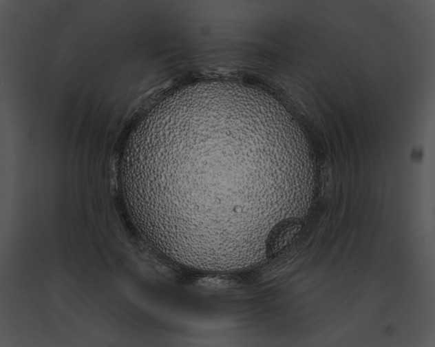 X0000091370699200708311526