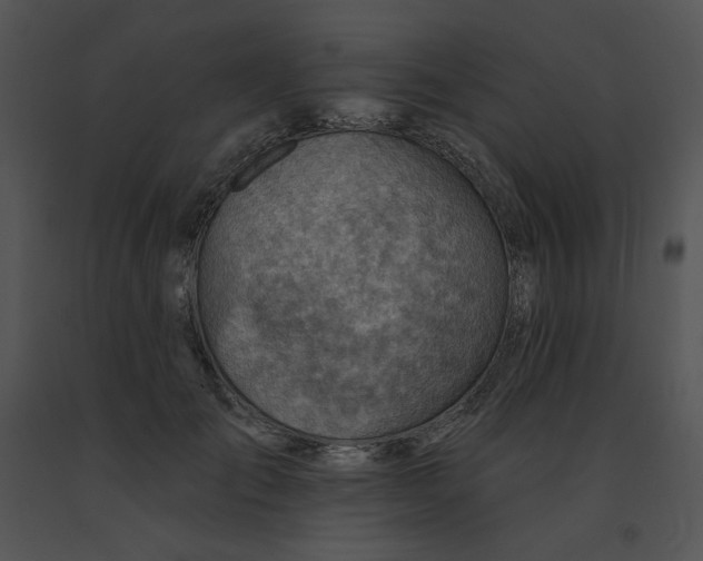 X0000091370701200708311526