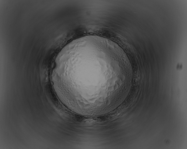 X0000091370703200708311525