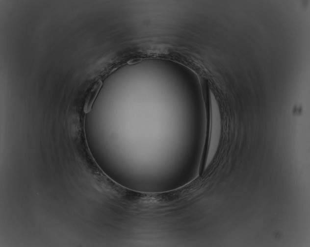 X0000091370704200708311525