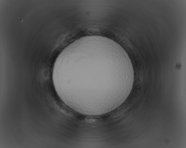 X0000091370706200708311525