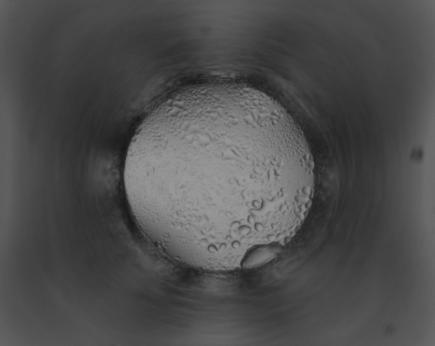 X0000091370707200708311525