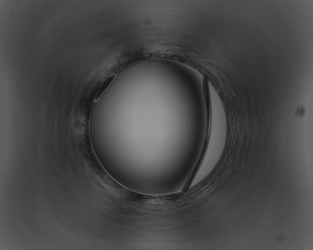 X0000091370708200708311525