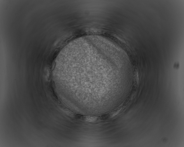 X0000091370709200708311525