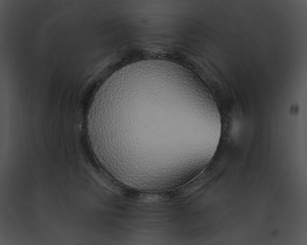 X0000091370710200708311525