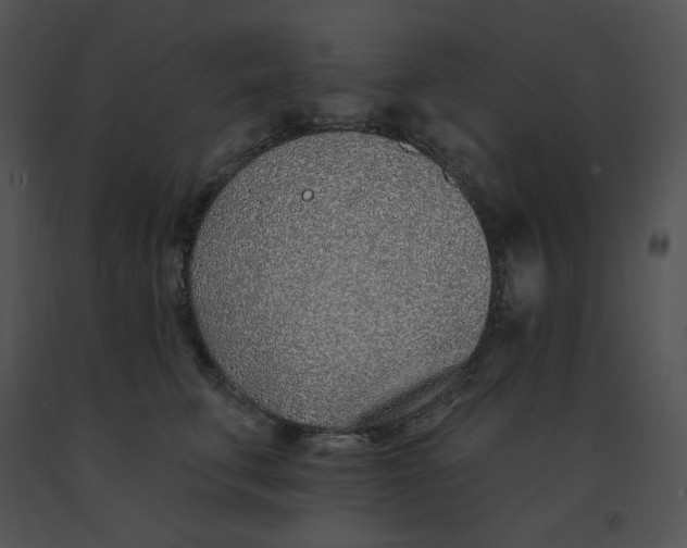 X0000091370711200708311525