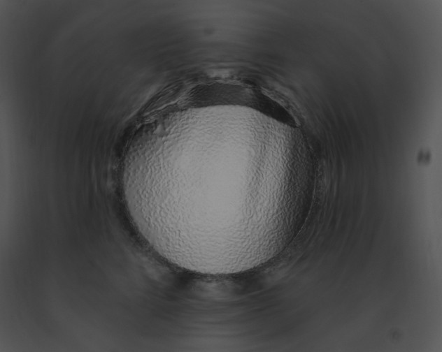 X0000091370712200708311525