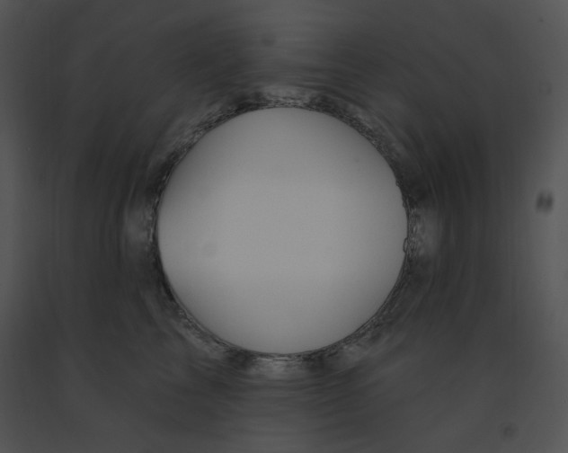 X0000091370713200708311525