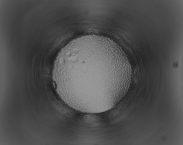 X0000091370714200708311525